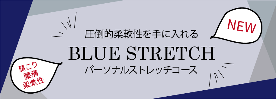 圧倒的柔軟性を手にいれる BLUE STRETCH パーソナルストレッチコース